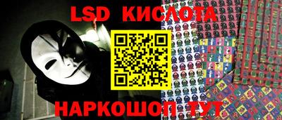 ПСИЛОЦИБИНОВЫЕ ГРИБЫ Заволжье