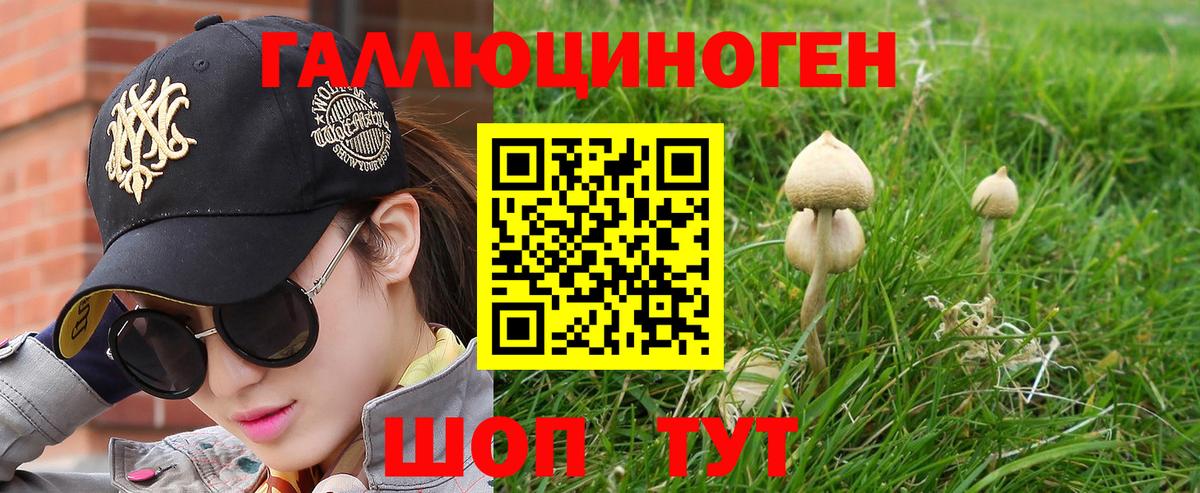 Галлюциногенные грибы Magic Shrooms  Вход с VPN  Галлюциногенные грибы Cubensis  купить   Малгобек 